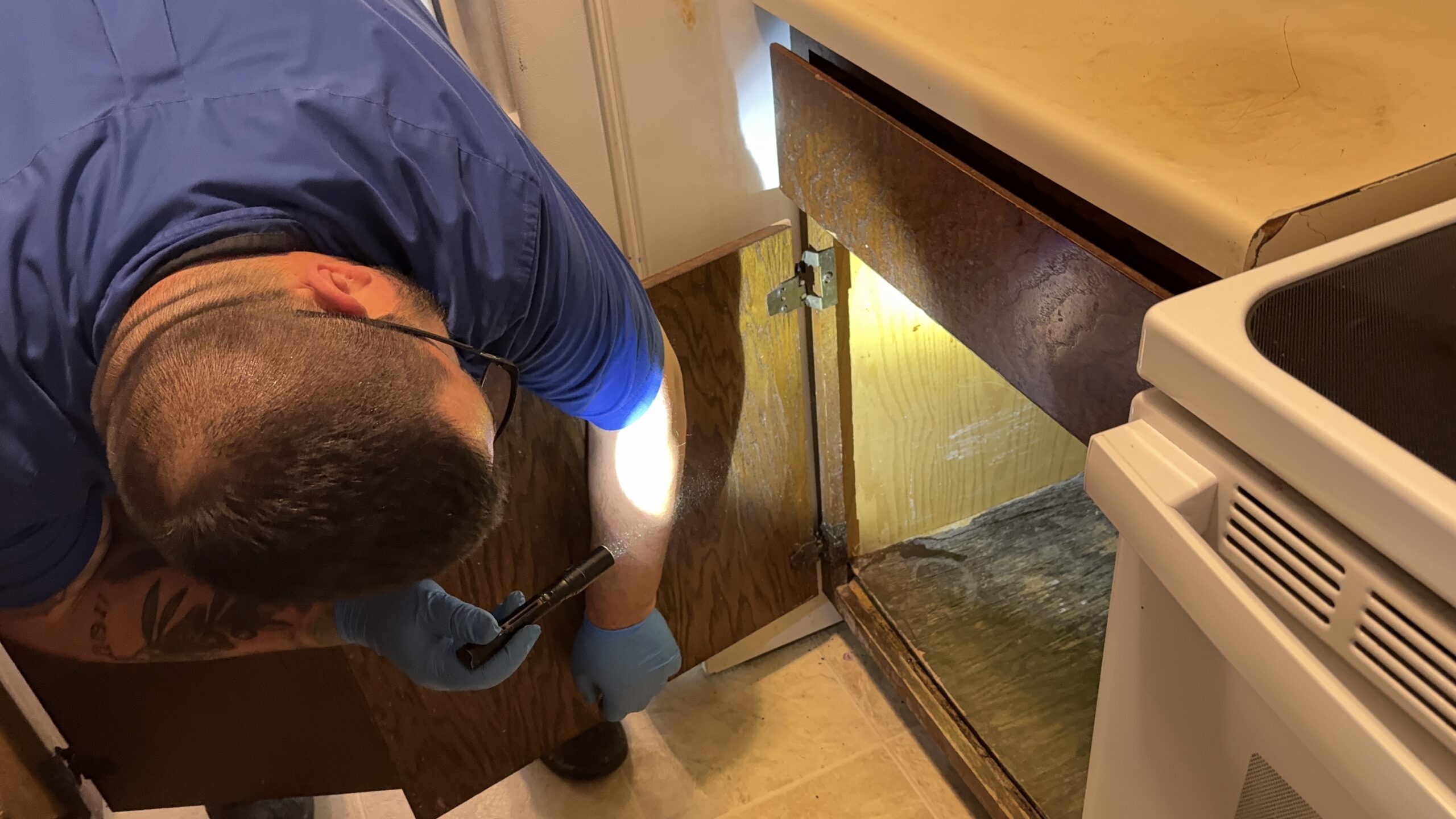 Pest control contractor applying pests control spray to bushes on residential property