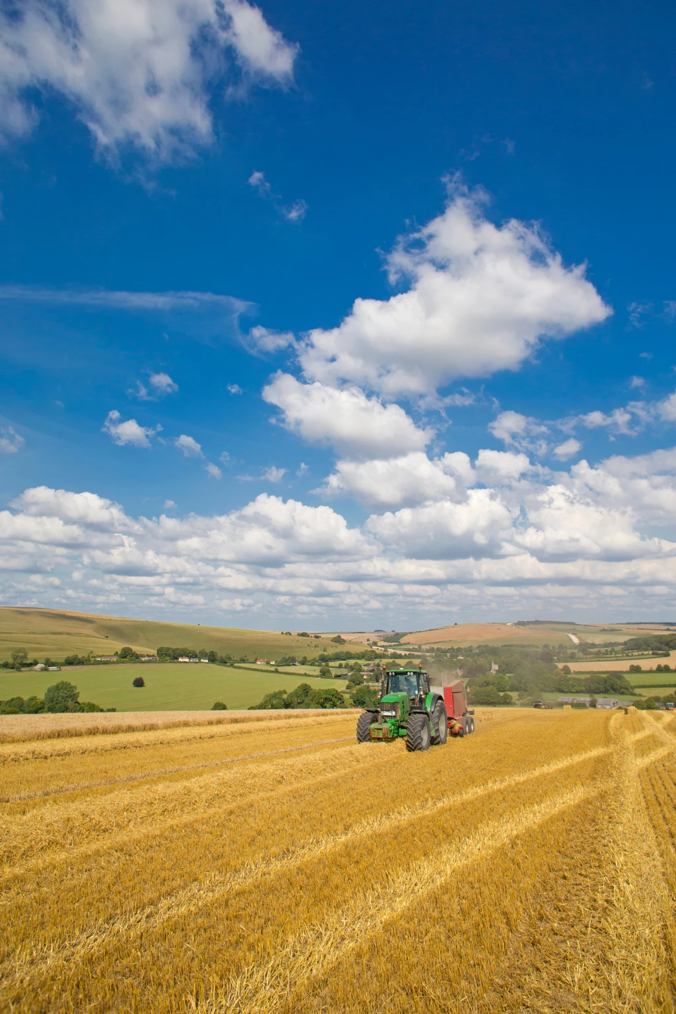 Tractor harvesting on golden field with an agricultural setting